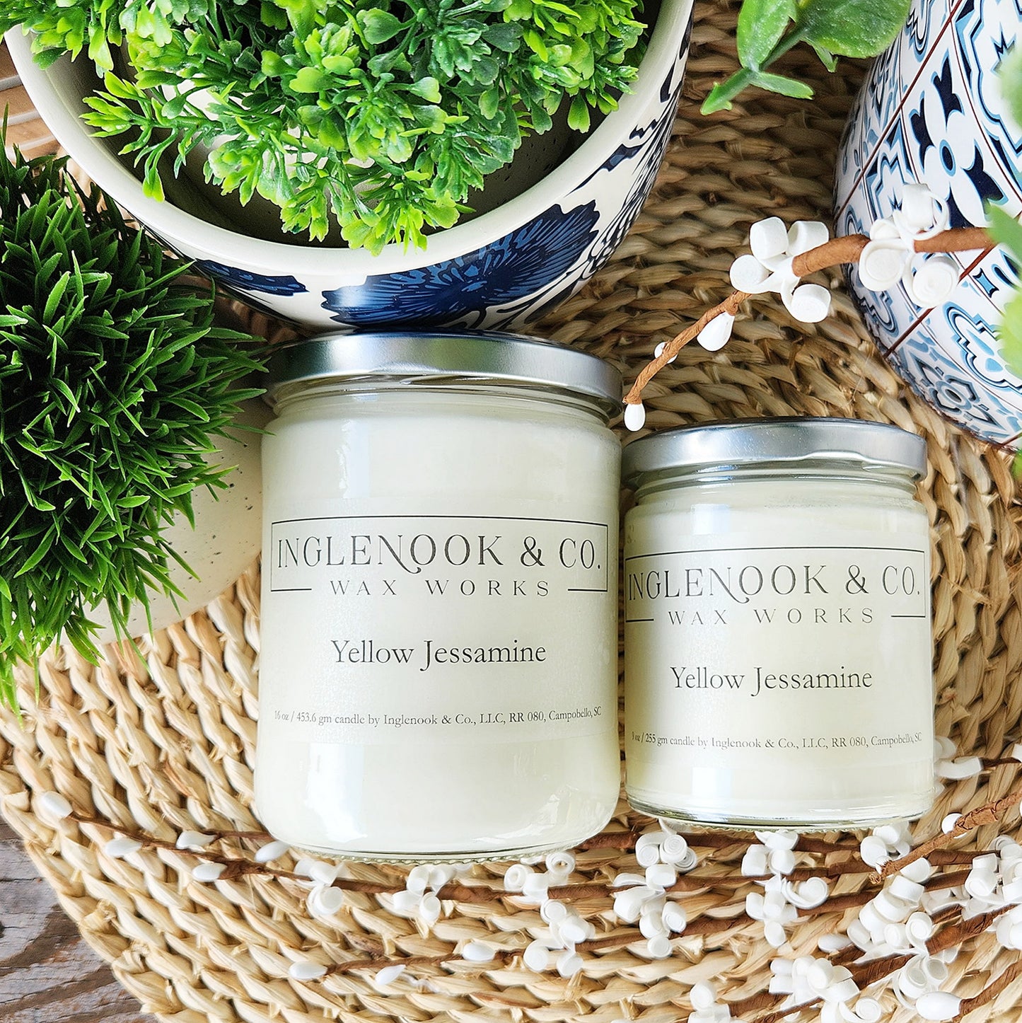 Yellow Jessamine