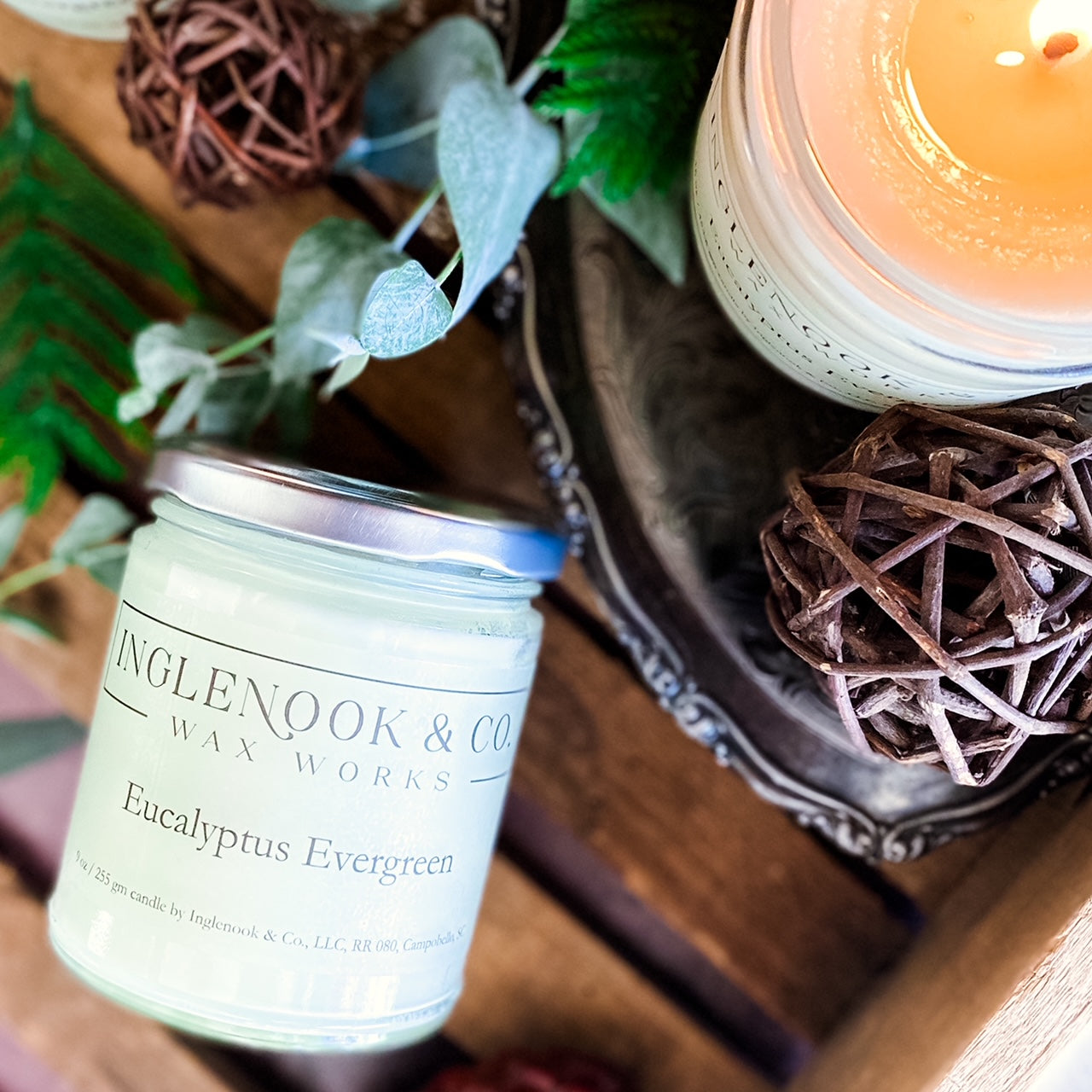 Eucalyptus Evergreen