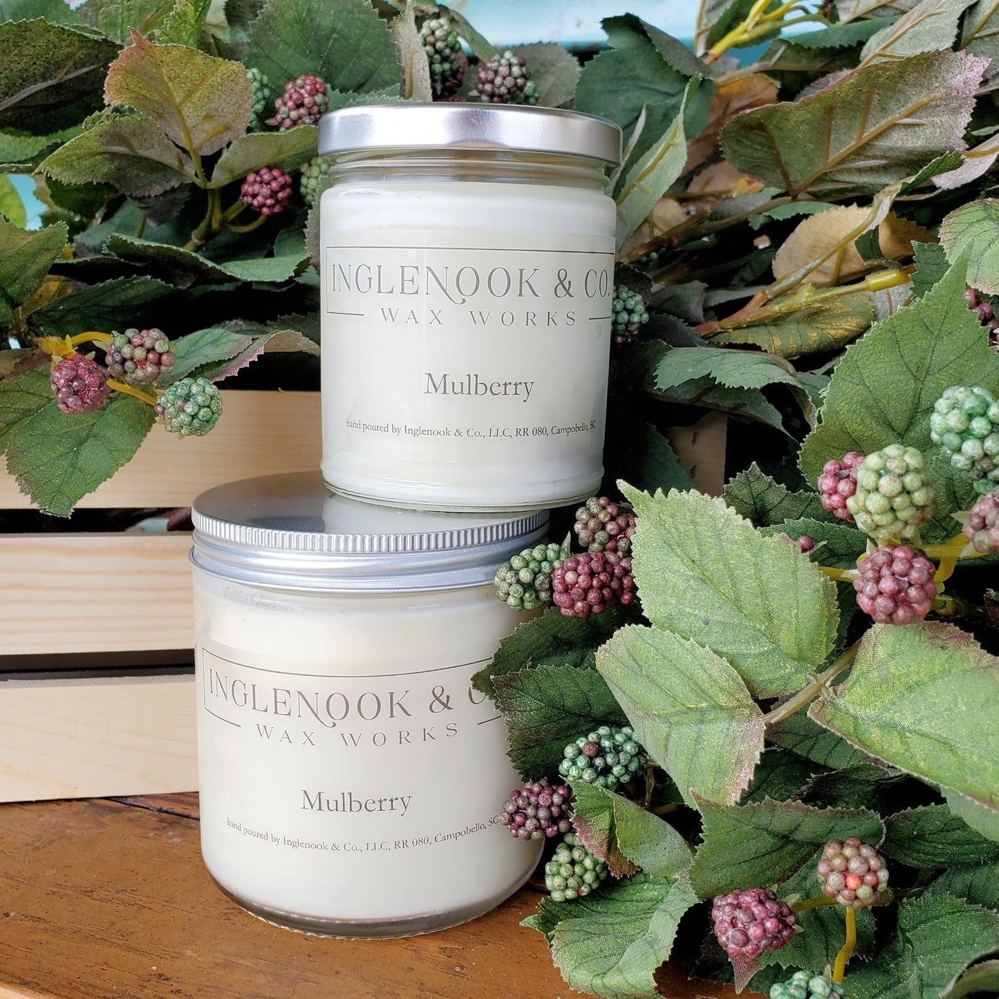 Mulberry