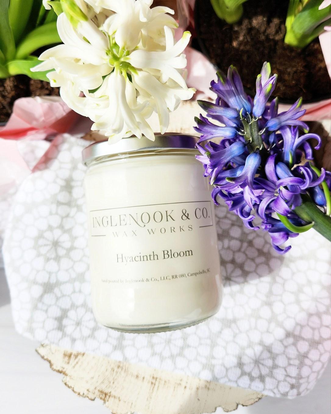 Hyacinth Bloom