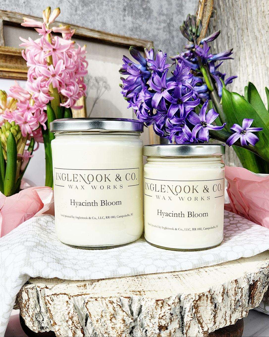 Hyacinth Bloom