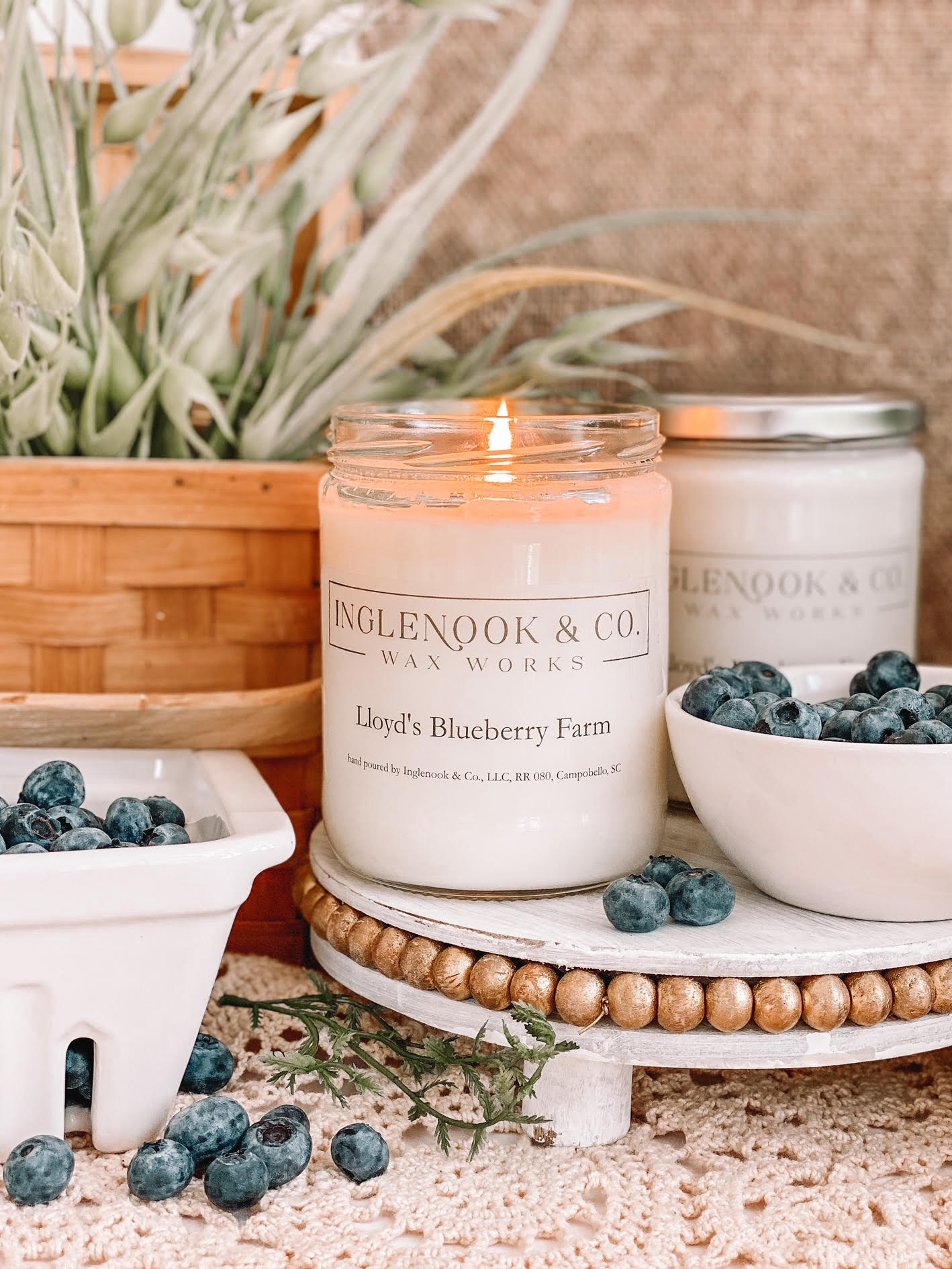 Lloyd’s Blueberry Farm